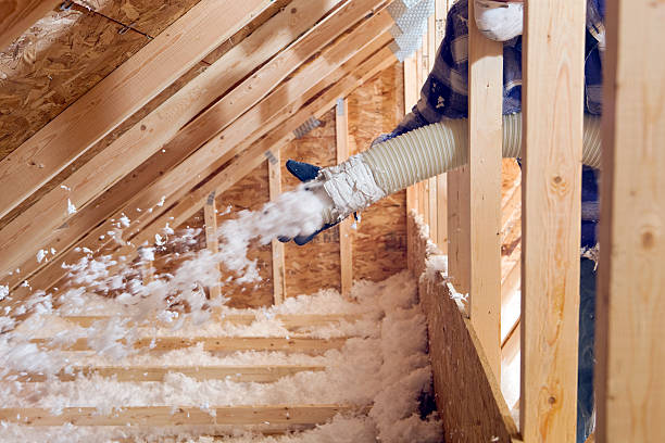 Best Eco-Friendly or Green Insulation Solutions  in Philipsburg, MT